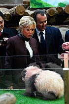 Brigitte Macron, wife of the French president, looking at panda cub Yuan Meng (Ailuropoda melanoleuca) at Naming ceremony of the 4-month-old panda cub at Beauval Zoo on December 4, 2017 in St-Aignan,...