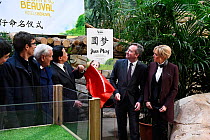 Naming ceremony of the 4-month panda cub at Beauval Zoo / ZooParc de Beauval on St-Aignan, France, December 4, 2017. From left to right: Rodolphe Delord, CEO of Beauval Zoo, former French prime minist...