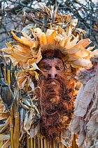 Man in costume at 'La Vijanera' Carnival in Silio. Molledo Municipality,  Cantabria, Spain. January 2017.