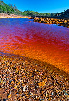 Rio Tinto - Red River, Sierra Morena, Gulf of Cadiz, Huelva, Andalucia, Spain. January.