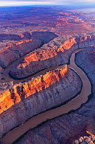 Aerial view of Junction Green and Colorado river, Canyonlands National Park, Utah, USA, September.