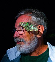 Man with female Spanish moon moth (Graellsia isabellae) on face during scientific research, The Ports Natural Park, Catalonia, Spain, June.