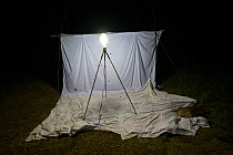 White sheet and lights to attract moths for scientific study on Spanish moon moth (Graellsia isabellae), The Ports Natural Park, Spain, June.