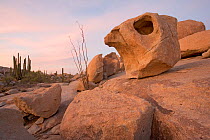 Granite rock formation and Sonoran Desert, Catavi, Valle de los Cirios Biosphere Reserve, Baja California Peninsula, Mexico, May