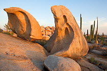 Granite rock formations and Sonoran Desert, Catavi-a, Valle de los Cirios Biosphere Reserve, Baja California Peninsula, Mexico, May