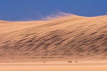 Namib desert coastal dunes blown by wind, Swakopmund, Namibia