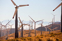 Part of the Tehachapi Pass wind farm, the first large scale wind farm area developed in the US, California, USA. September 2014