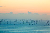Offshore wind farm and gas platfroms in morecame bay from the summit of Black Combe, Cumbria, England, UK. November 2014