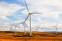 Whitlee wind farm on Eaglesham Moor just south of Glasgow in Scotland, UK, is Europes largest onshore wind farm with 140 turbines and an installed capacity of 322 MW, enough energy to power 180,000 ho...