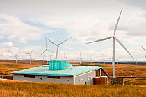 Whitlee wind farm on Eaglesham Moor just south of Glasgow in Scotland, UK, is Europes largest onshore wind farm with 140 turbines and an installed capacity of 322 MW, enough energy to power 180,000 ho...