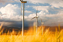 A wind farm near La Calahorra in Andalucia, Spain. May 2011