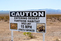 A sign about the  Mojave desert tortoise (Gopherus agassizii) near Lake mead in Nevada, USA. September 2014