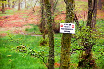 Sign warning of Adders breeding in a woodland near Hawkshead in the Lake District, England, UK. May 2009
