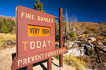 Fire danger sign next to forest that has been burnt, Tule river area of the Sequoia National Forest, east of Porterville, California, USA. At this time California was suffering an exceptional drought,...