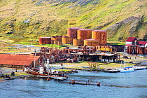 The old whaling station at Grytviken on South Georgia. In its 58 years of operation, it handled 53,761 slaughtered whales, producing 455,000 tons of whale oil and 192,000 tons of whale meat. February...