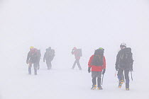 Climbers in a whiteout on Aonach Mhor a Munro near Fort William Scotland. March 2005