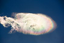 Jet stream winds blowing clouds with parhelion, over the Annapurna Himalayas, Nepal. December 2012