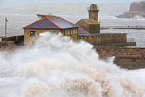 Whitehaven harbour during the January 2014 period of storm surge, high tides and storm force winds. The coastline took a battering, damaging the harbour wall and eroding a large section of coastal cli...
