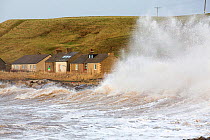 Waves crashing off Parton near Whitehaven during the January 2014 period of storm surge, high tides and storm force winds. The coastline took a battering, damaging the harbour wall and eroding a large...