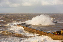Storm waves from an extreme low pressure system batter Whitehaven harbour, Cumbria, UK, December 2014.