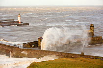 Storm waves from an extreme low pressure system batter Whitehaven harbour, Cumbria, UK, December 2014.