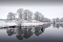 Reflections in the River Brathay after an overnight fall of snow in the Langdale Valley, Lake District, England, UK. January 2016