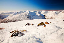 View towards the Angels Peak and Braeriach across the Lairig Ghru from the summit of Ben Macdui, on the Cairngorm mountains, Scotland, UK, February 2011