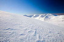 View towards the Angels Peak and Braeriach across the Lairig Ghru from the summit of Ben Macdui, on the Cairngorm mountains, Scotland, UK. In winter conditions, with sastrugi caused by wind drifted sn...