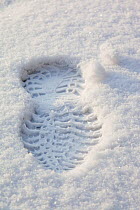 Footprint in snow, Ambleside, Lake District, Cumbria, England, UK. February 2009