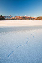Derwent Water at Keswick in the Lake District completely frozen over during the December 2010 big chill, with footsteps from a walker who walked across the lake. December 2010