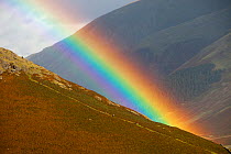 Rainbow over Steel Fell and walkers in the Lake District, England, UK. October 2009