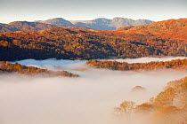 Mist caused by a temperature inversion over Ambleside in the Lake District, England, UK. November 2009
