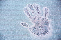 Frozen hand print on an iced over car window, Ambleside, Cumbria UK. December 2008