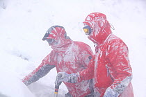 Mountaineer in blizzard, Cairngorm Scotland UK. February 2007