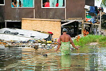 Woman walking past houses flooded by seawater on Funafuti, Tuvalu. These low lying islands are very susceptible to sea level rise, March 2007