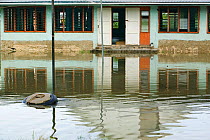 Houses flooded by seawater on Funafuti,Tuvalu. These low lying islands are very susceptible to sea level rise, March 2007