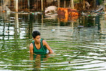 Man in water as Funafuti Atoll is flooded by sea water, Tuvalu. These low lying islands are very susceptible to sea level rise, March 2007