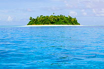 Island in Funafuti Atoll, Tuvalu.  March 2013.  This area is low lying and very susceptible to sea level rise.