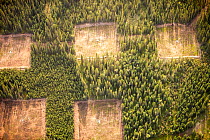 Boreal forest trees clear felled to make way for a new tar sands mine north of Fort McMurray, Alberta, Canada. The tar sands are responsible for the second fastest rate of deforestation on the planet....