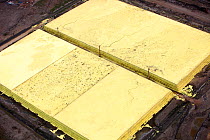 Sulphur which has to be extracted from the raw bitumen from tar sands piled up in huge mountains by the Syncrude upgrader plant near Fort McMurray, Alberta, Canada.  August 2012