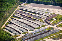 Boreal forest trees clear felled to make way for a new tar sands mine north of Fort McMurray, Alberta, Canada.  August 2012