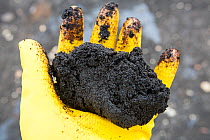 A hand full of tar sand Alberta, Canada,.August 2012