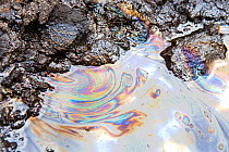 Tar sands with iridescent oil patterns. Alberta, Canada. August 2012