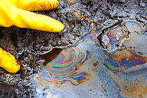 Tar sands with iridescent oil patterns. Alberta, Canada. August 2012
