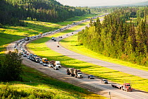 Traffic on Highway 63 through boreal forest, Alberta, Canada, August.