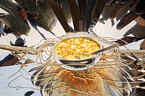 A solar cooker being used to cook food at the offices of WWF India, in Delhi, India. December 2013