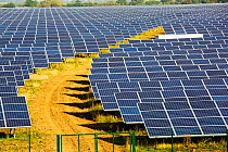Wymeswold Solar Farm the largest solar farm in the UK at 34 MWp, based on an old disused second world war airfield, Leicestershire, UK. It contains 130,000 panels and covers 150 acres. September 2013