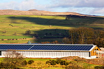 Solar panels on a new cattle shed, Wigglesworth Hall Farm. Yorkshire Dales, Lancashire, England, UK February 2016