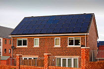 Hutton Rise housing development in Sunderland, UK.  All of the houses have either solar thermal water heating or solar electric panels, some have both. December 2011