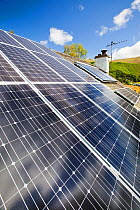 Solar electric (photo voltaic) and solar thermal (hot water) panels on a house roof in Grasmere, Lake District, UK. August 2011